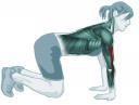 12-f-biceps.jpg