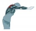 9-g-rhomboides-trapeze.jpg